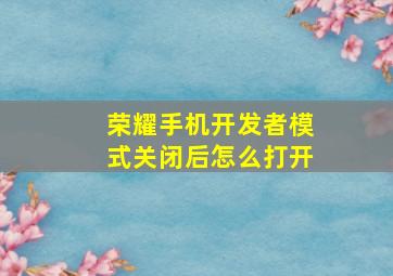 荣耀手机开发者模式关闭后怎么打开