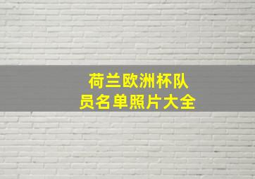 荷兰欧洲杯队员名单照片大全