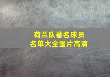 荷兰队著名球员名单大全图片高清