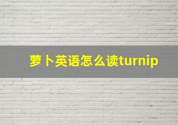 萝卜英语怎么读turnip