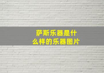 萨斯乐器是什么样的乐器图片