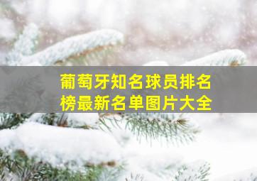 葡萄牙知名球员排名榜最新名单图片大全