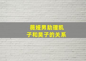 薇娅男助理凯子和昊子的关系