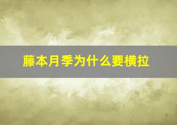 藤本月季为什么要横拉