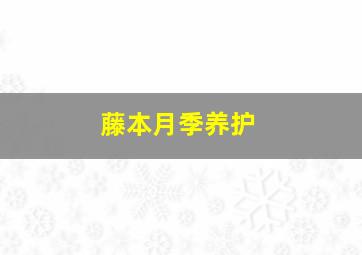 藤本月季养护