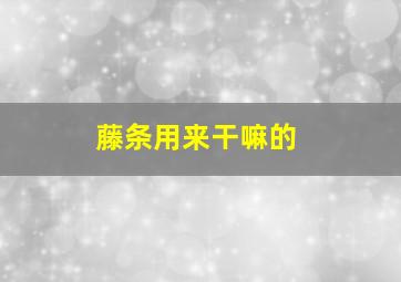 藤条用来干嘛的