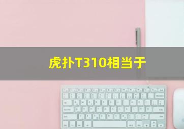 虎扑T310相当于