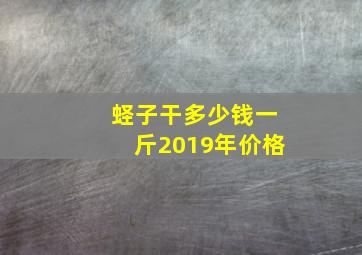 蛏子干多少钱一斤2019年价格