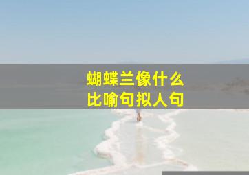 蝴蝶兰像什么比喻句拟人句