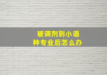 被调剂到小语种专业后怎么办