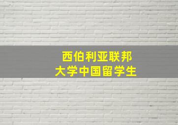 西伯利亚联邦大学中国留学生