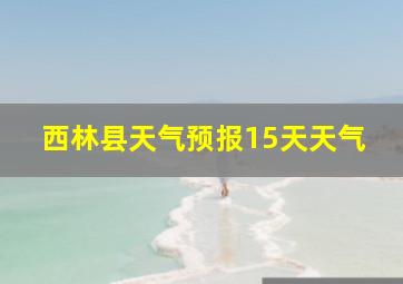 西林县天气预报15天天气