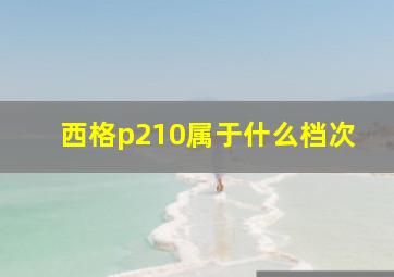 西格p210属于什么档次