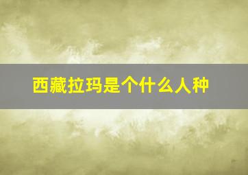 西藏拉玛是个什么人种