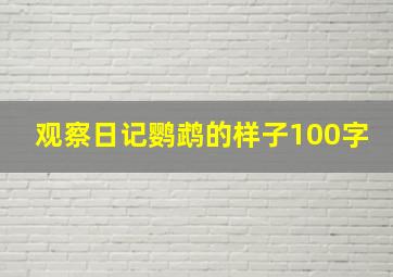 观察日记鹦鹉的样子100字