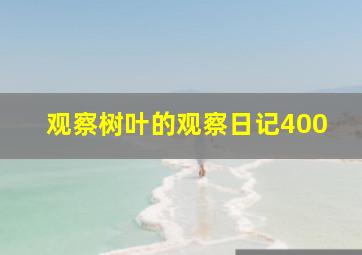 观察树叶的观察日记400