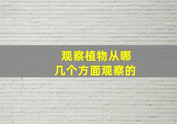 观察植物从哪几个方面观察的