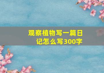 观察植物写一篇日记怎么写300字