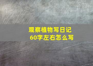 观察植物写日记60字左右怎么写