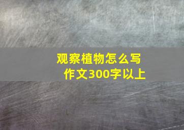 观察植物怎么写作文300字以上