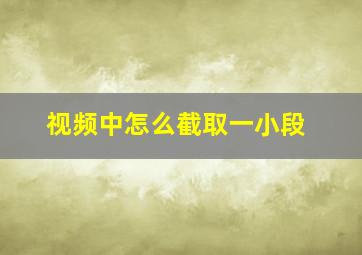 视频中怎么截取一小段