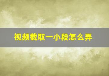 视频截取一小段怎么弄