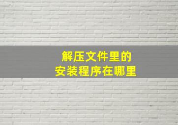 解压文件里的安装程序在哪里