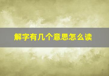 解字有几个意思怎么读