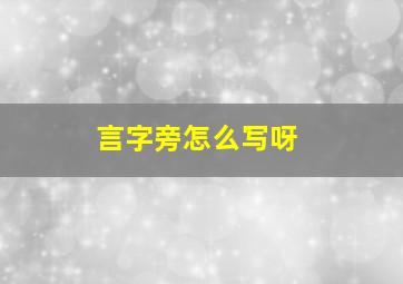 言字旁怎么写呀