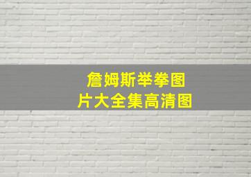 詹姆斯举拳图片大全集高清图