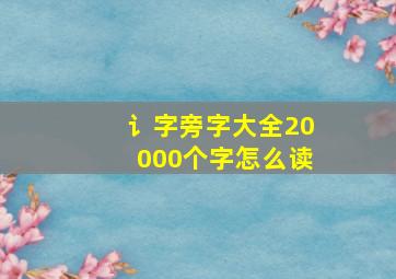 讠字旁字大全20000个字怎么读