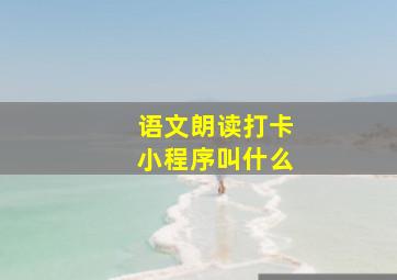 语文朗读打卡小程序叫什么