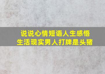 说说心情短语人生感悟生活现实男人打牌是头猪