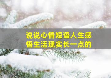 说说心情短语人生感悟生活现实长一点的