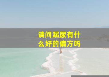 请问漏尿有什么好的偏方吗