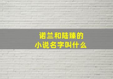 诺兰和陆臻的小说名字叫什么