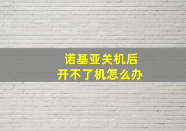 诺基亚关机后开不了机怎么办