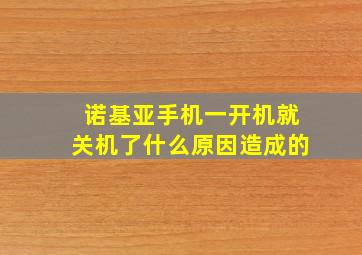 诺基亚手机一开机就关机了什么原因造成的