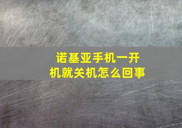 诺基亚手机一开机就关机怎么回事