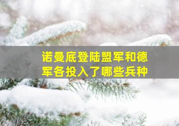 诺曼底登陆盟军和德军各投入了哪些兵种