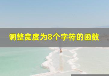 调整宽度为8个字符的函数