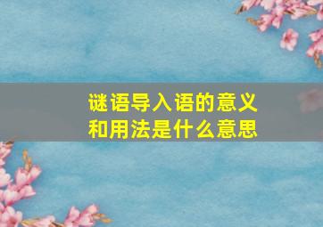 谜语导入语的意义和用法是什么意思