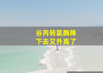 谷丙转氨酶降下去又升高了