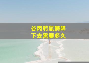 谷丙转氨酶降下去需要多久