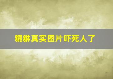 貔貅真实图片吓死人了