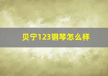 贝宁123钢琴怎么样