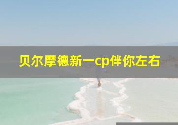 贝尔摩德新一cp伴你左右