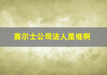 赛尔士公司法人是谁啊