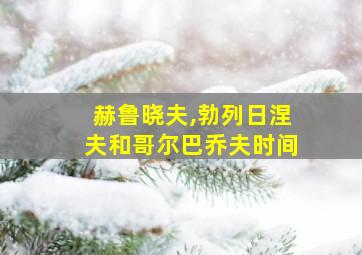 赫鲁晓夫,勃列日涅夫和哥尔巴乔夫时间