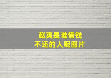 赵爽是谁借钱不还的人呢图片